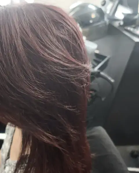Coloration acajou — MMB Studio